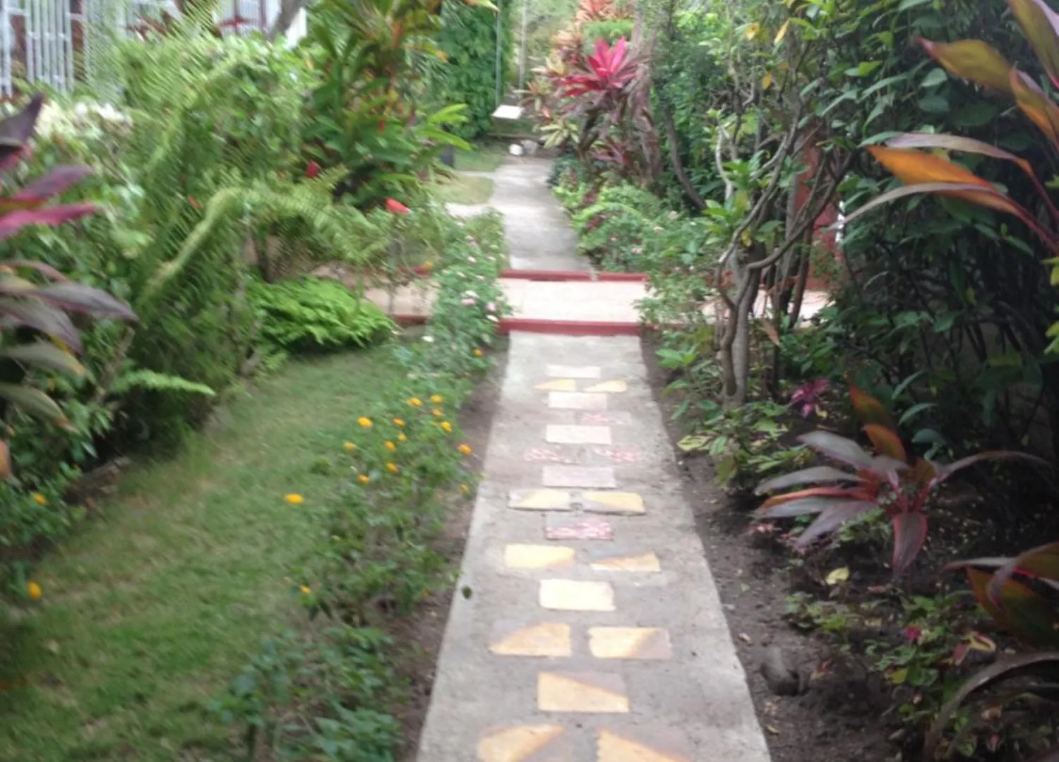 Kingston Airport Bed And Breakfast