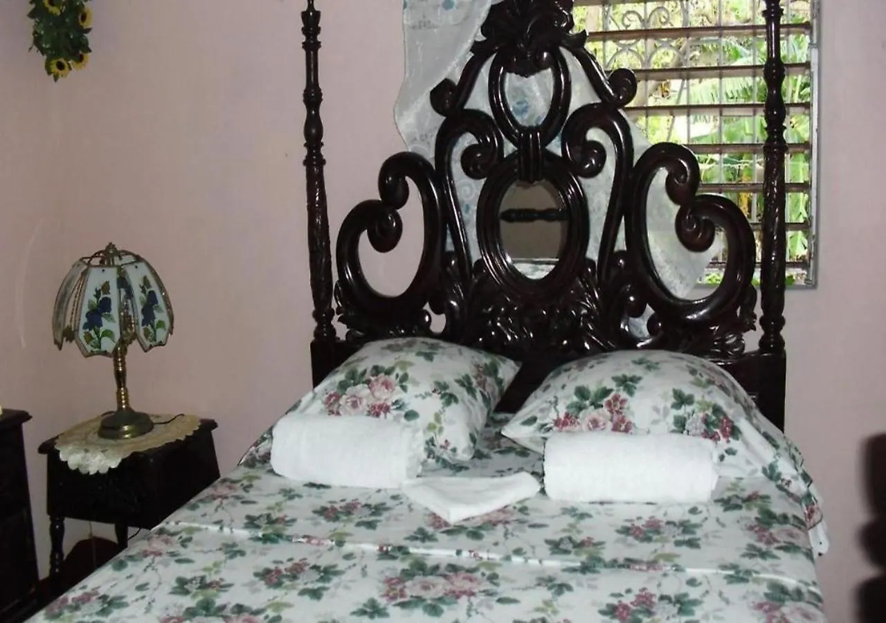 B&B Kingston Airport Bed And Breakfast
