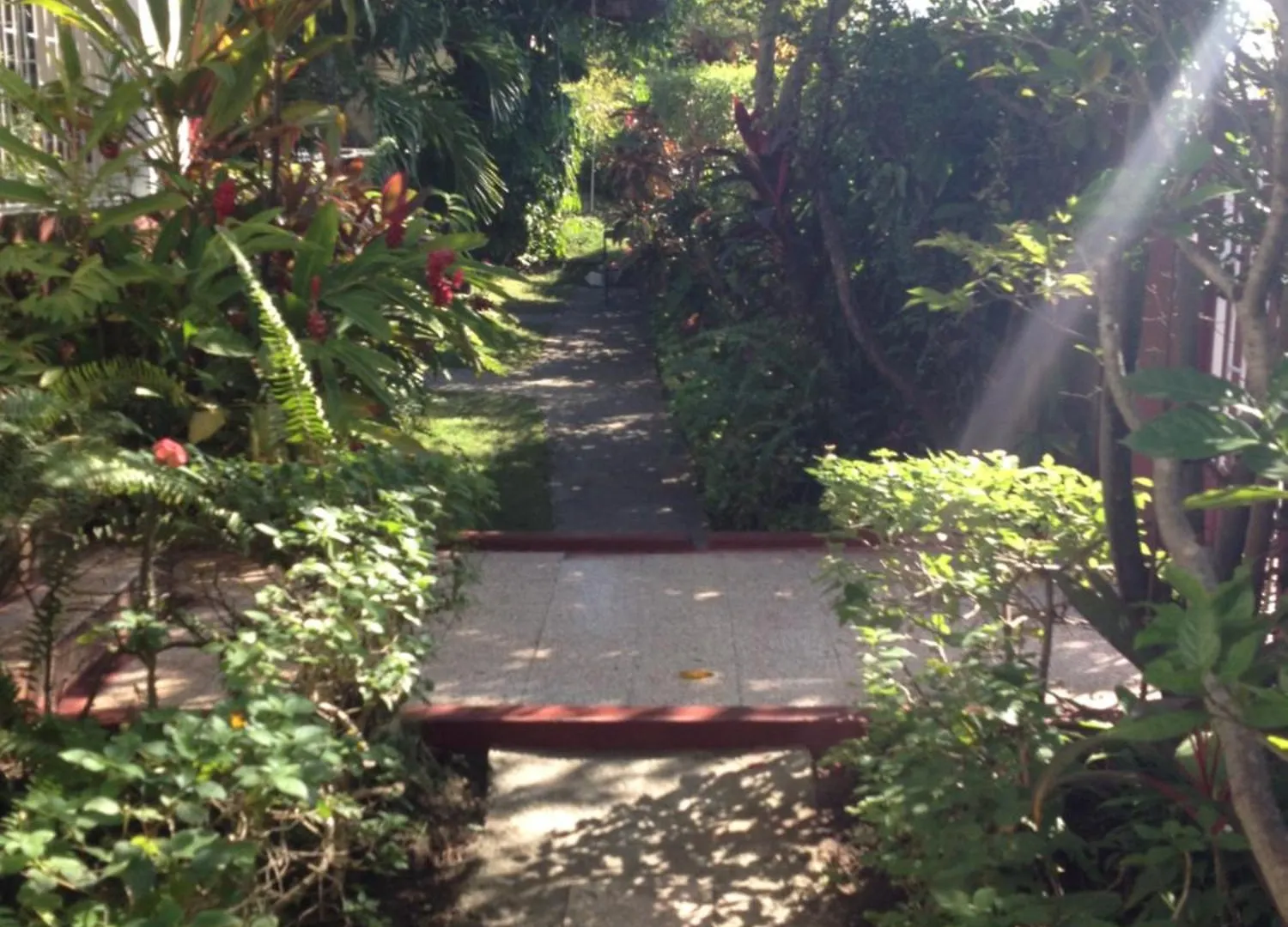 Kingston Airport Bed And Breakfast
